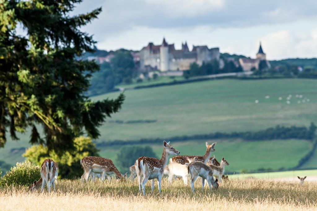 Chateau Sainte Sabine Kültér fotó